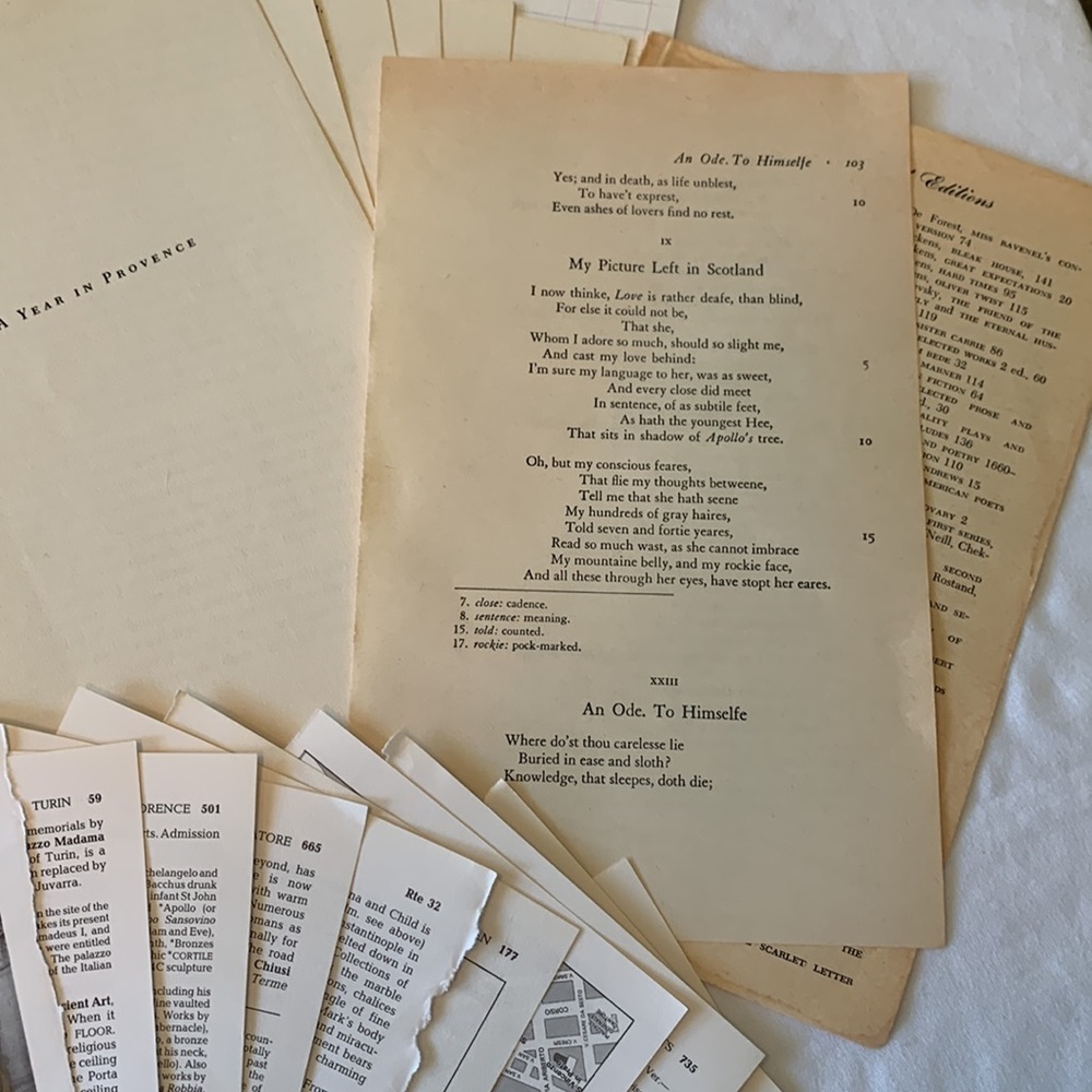 Over 50 vintage book pages for junk journaling and paper crafting. Variety! - Picture 8 of 11